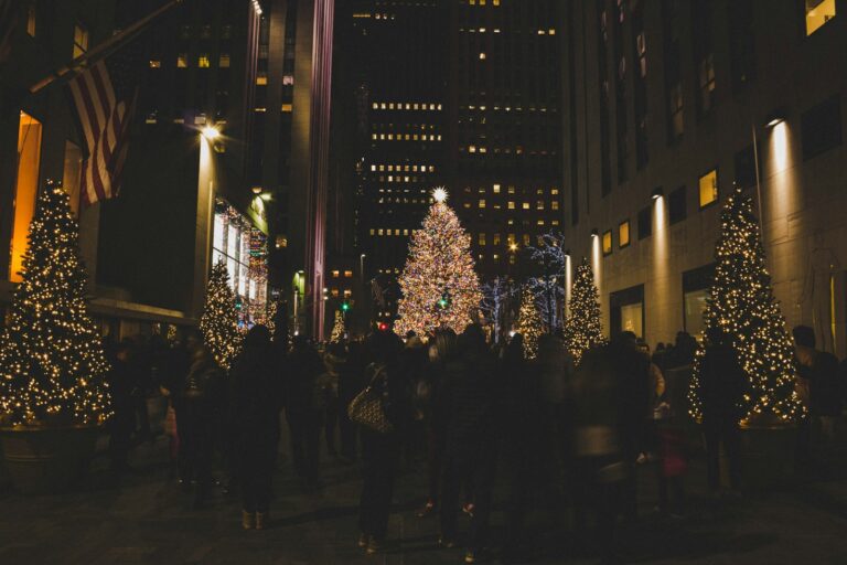 lighted Christmas trees during nighttime